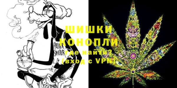 PSILOCYBIN Богданович