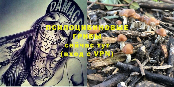 дживик Богородицк