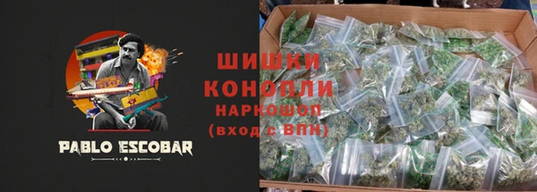 дживик Богородицк